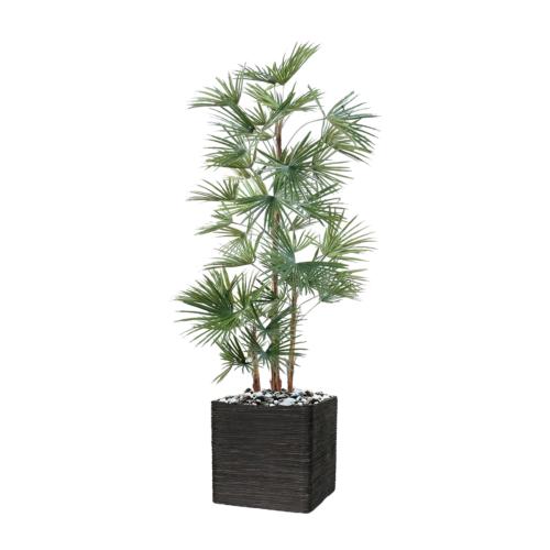 Palmier Livistona Artificiel H 140 cm D 70 cm en pot