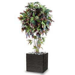 Croton Artificiel Troncs Bois en pot H 110 cm Vert-rouge