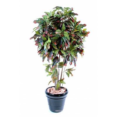 Croton Artificiel Troncs Bois en pot H 180 cm Vert-rouge