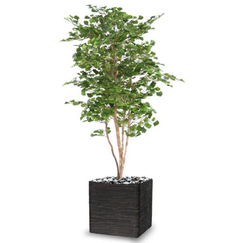 Gingko Artificiel Troncs bois naturels H 180 cm D 110 cm en pot