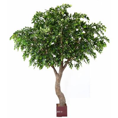 Hêtre Artificiel H 360 cm D 280 cm 8850 feuilles en pot