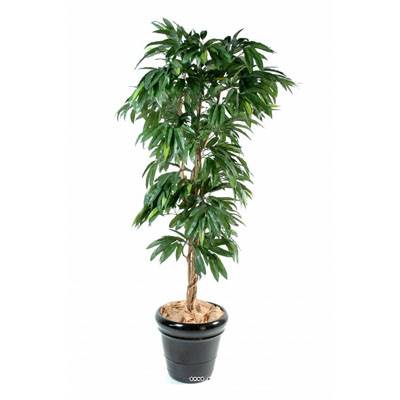 Manguier artificiel en pot 3 troncs en bois naturel Hauteur 180 cm