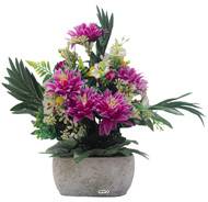 Jardinière pot béton Chrysantheme, Pensée et mini fleurs pourpre pour la Toussaint