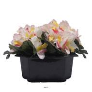 Bac carré fleurs artificielles Orchidée Rose-crème pour la Toussaint