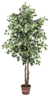 Ficus Artificiel 180 cm vert/blanc 1512 feuilles Tronc Nat