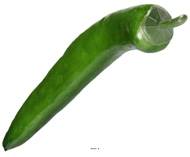 Piment artificiel Vert légume L 15 cm D 2 cm