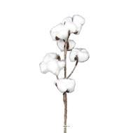 Branche de coton artificielle H 60 cm 6 tetes