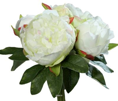 Bouquet de superbes Pivoines crème artificielles Hauteur 20 cm Top