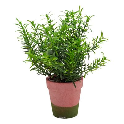 Herbe aromatique artificielle Romarin superbe de réalisme