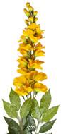 Branche de Glycine artificielle Jaune H 85 cm 81 feuilles 3 fleurs