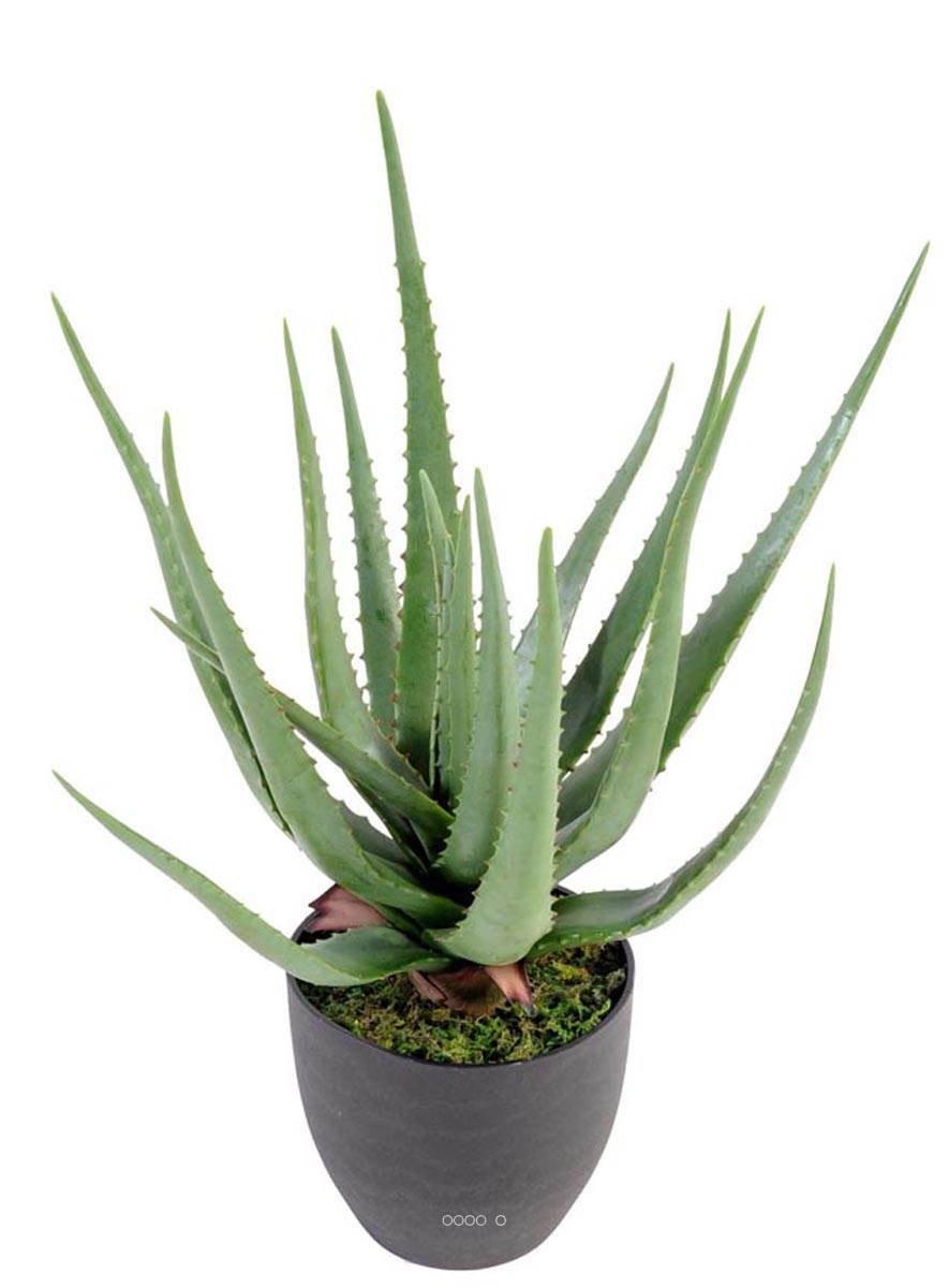 Aloe vera artificiel H 60 cm cactus plante grasse en pot pvc du site  artificielles.com