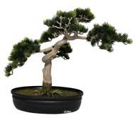 Bonsai artificiel Formosa H 40 X 45 CM 318 feuilles top