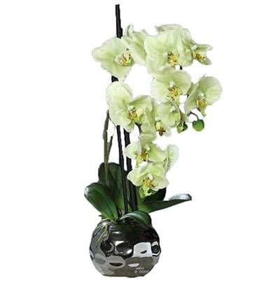 Orchidée factice 2 hampes en boule ceramique Argent H50cm Crème vert