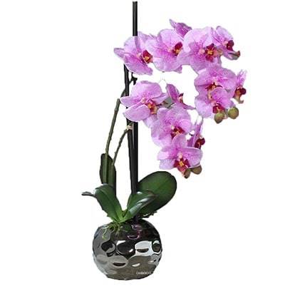 Orchidee artificielle 2 hampes en boule ceramique Argent H 50 cm Rose