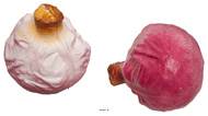 Choux rouge artificiel en lot de 2 en Plastique soufflé H 13x12 cm