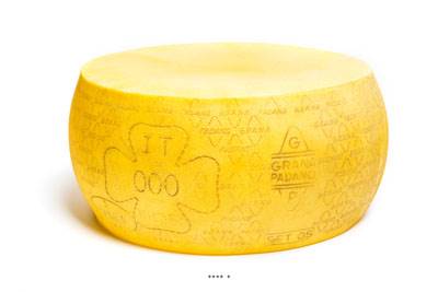 Meule de Grana Padano artificiel en Plastique soufflé D 440x210 mm