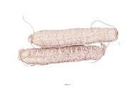 Saucisson artisanal en filet blanc X 2 Plastique souffl L 250x50 mm