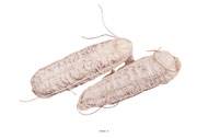 Saucisson de montagne artificiel X 2 en Plastique soufflé L 180x50 mm