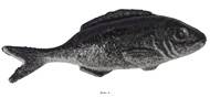 Sardine artificielle en lot de 4 en Plastique soufflé L 120x40 mm