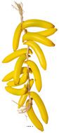 Grappe de 15 Bananes Artificielles en Plastique Soufflé – L 65 cm D 20 cm