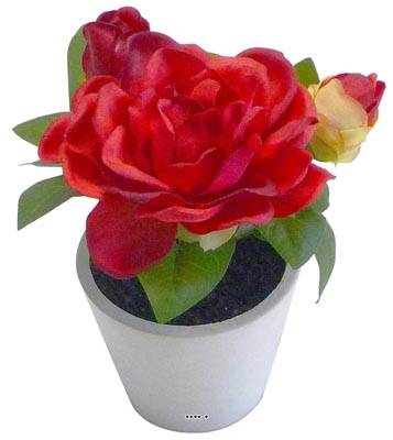 Roses artificielles en pot Blanc H 14 cm Composition adorable Rouge