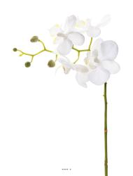 Orchidee Phalaenopsis Artificiel Blanc H 30 cm mini fleurons