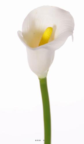 Arum calla Zantedeschia artificiel H 55 cm Crème