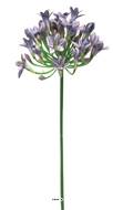 Agapanthe artificielle en tigeH 75cm, grande tête D 14 cm Lavande - BEST