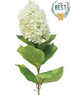 Lilas artificiel en tige, H 85 cm Crème - BEST