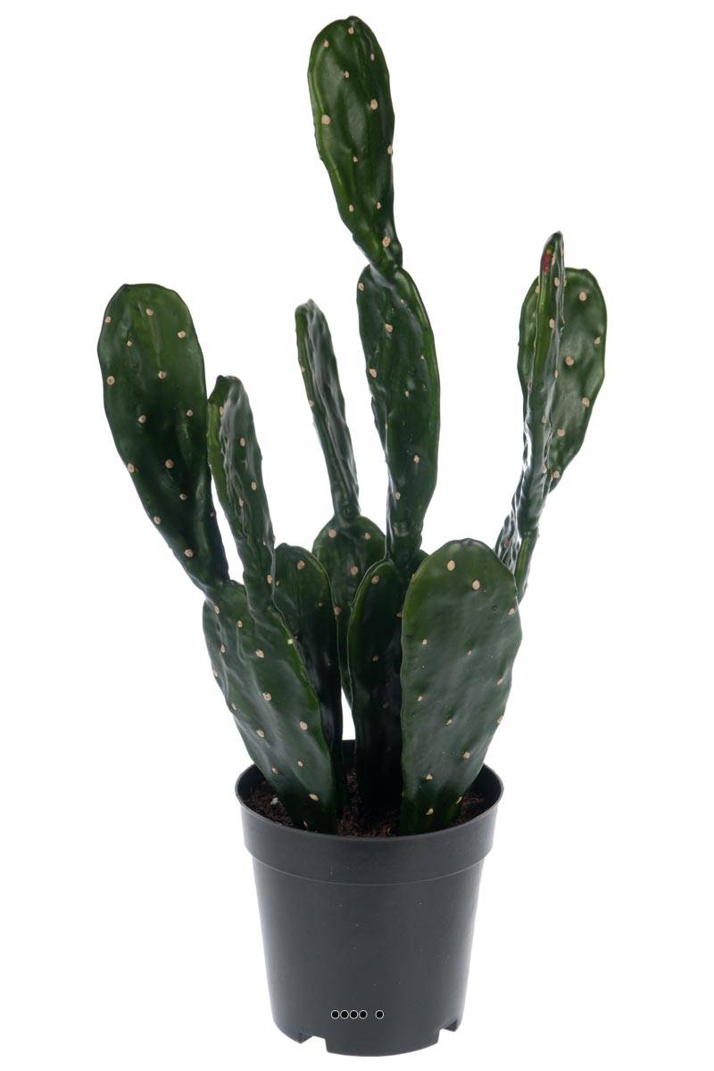  Cactus  Opuntia artificiel cact e en pot  H 50 cm D 25 cm 