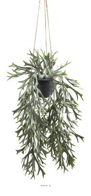 Fougère Platycerium artificielle en pot suspendu, L 35 cm, D 24 cm