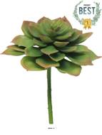 Echeveria glauca artificielle en piquet, H 17 cm, D 13 cm, Vert - BEST