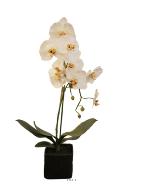 Sublime orchidée artificielle en pot H 75 cm  Blanc neige