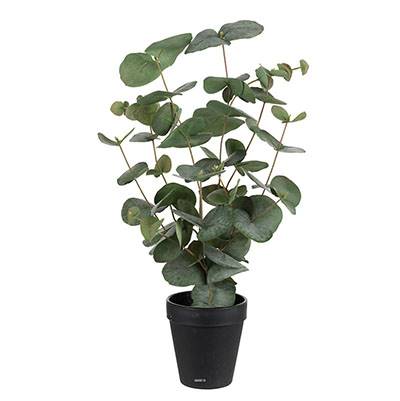 Eucalyptus artificiel en pot H 55 cm 