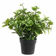 Menthe artificielle en pot pour extérieur H 25 cm