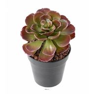 Magnifique Crassula artificiel H 22 cm Vert-rouge en piquet