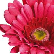 Gerbera artificiel, H 56 cm - D 11 cm superbe Rose fushia