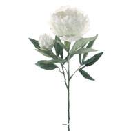 Pivoine Joy artificielle H 67 cm 2 tetes 3 feuilles effet texturé Blanc neige