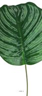 Feuille de Maranta artificielle en tissu H 40,5 cm