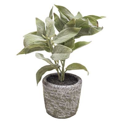 Herbe aromatique artificielle Sauge H 26cm
