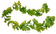 Guirlande de feuilles de vigne UV 76 feuilles - H 150 cm