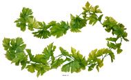 Guirlande de feuilles de vigne UV 76 feuilles - H 150 cm