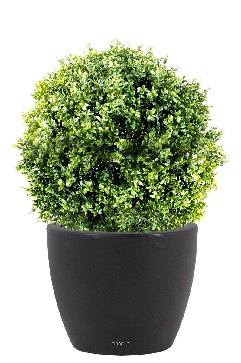 Lot De 12 Panneaux De Toile De Fond En Buis Artificiel Avec