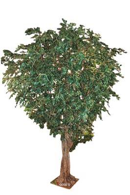 Ficus Benjamina Géant factice H350cm L220cm 9280 feuilles sur platine