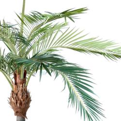 Palmier Phoenix artificiel H 400 cm D 290 cm 13 palmes sur platine
