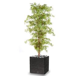 Aralia Arbre Artificiel H 150 cm Vert-rouge