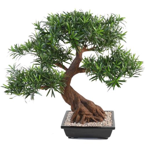 Bonsaï Podocarpus Artificiel H 80 cm D 78 cm en pot