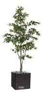 Ficus Benjamina Artificiel tronc PE en pot superbe H 210 cm D 105 cm Vert