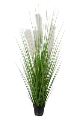 Herbe de la Pampa factice en pot beau plumet H120cm D55cm Blanc neige