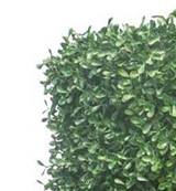 Haie de buis factice feuilles plastique protect UV 30x30x100cm - BEST